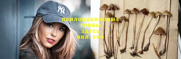 крисы Абаза