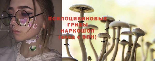 хмурый Лиски