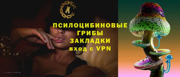 спайс Алексин