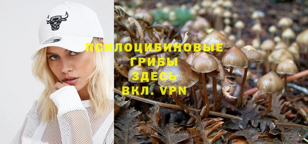 дмт Алзамай