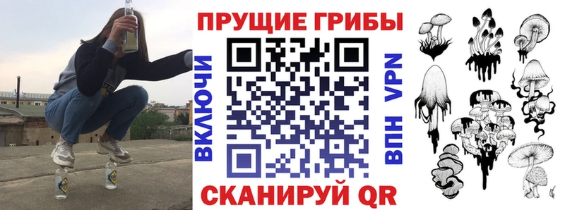 где продают наркотики  Иланский  Псилоцибиновые грибы Magic Shrooms 